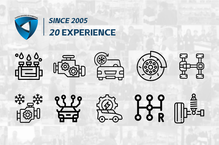 Business Scope of Super Driving